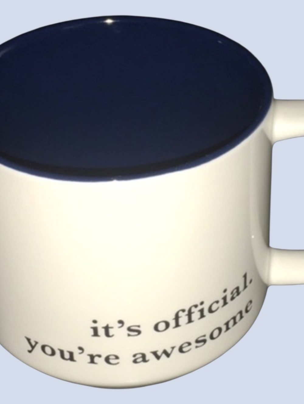 Threshold it’s official you’re awesome mug blue interior black writing